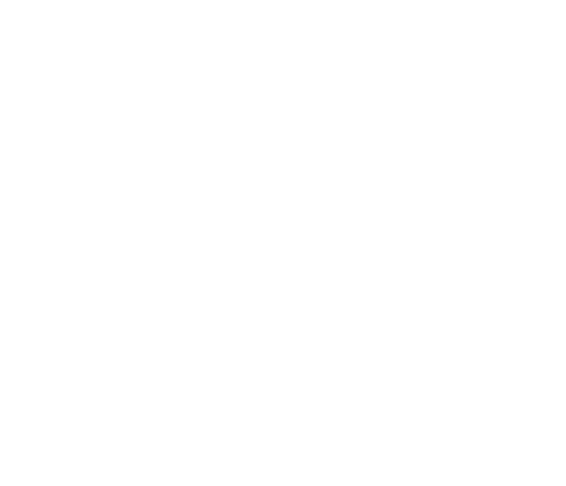 home-icon